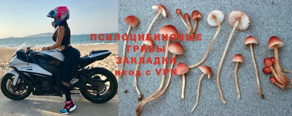 наркотики Белокуриха